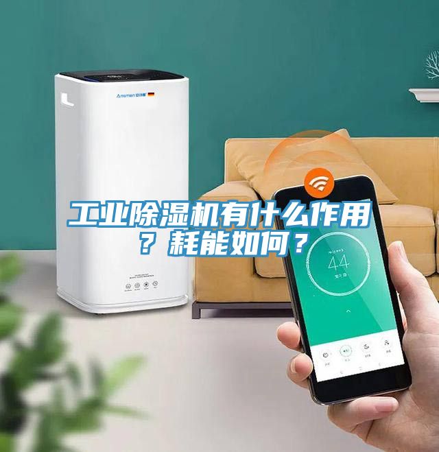 工业猫咪成人官网有什么作用？耗能如何？