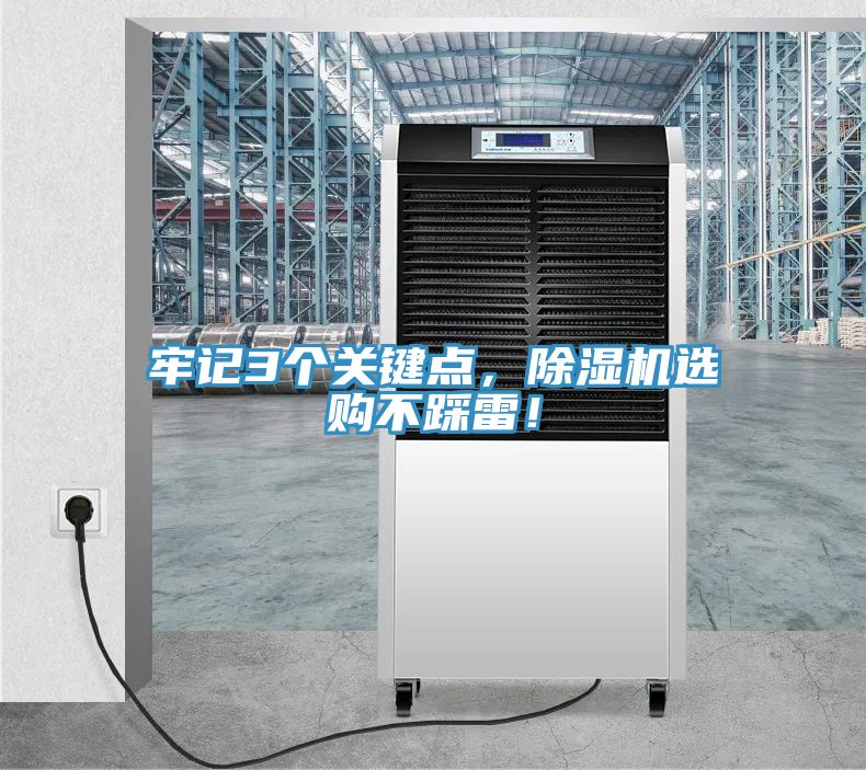 牢记3个关键点，猫咪成人官网选购不踩雷！