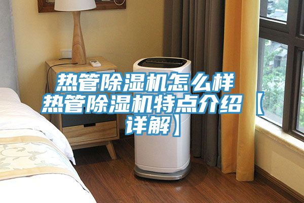 热管猫咪成人官网怎么样 热管猫咪成人官网特点介绍【详解】