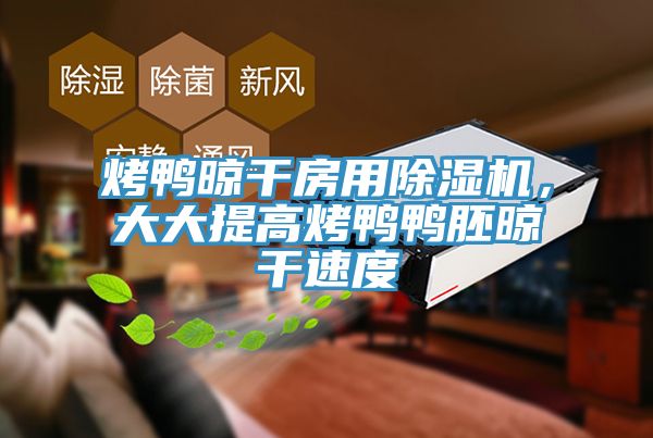 烤鸭晾干房用猫咪成人官网，大大提高烤鸭鸭胚晾干速度