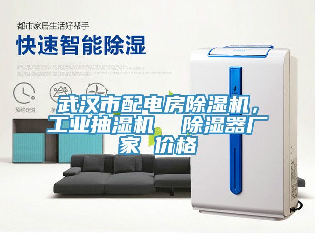 武汉市配电房猫咪成人官网，工业抽湿机  除湿器厂家 价格
