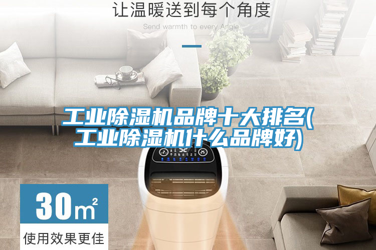 工业猫咪成人官网品牌十大排名(工业猫咪成人官网什么品牌好)