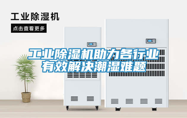 工业猫咪成人官网助力各行业有效解决潮湿难题