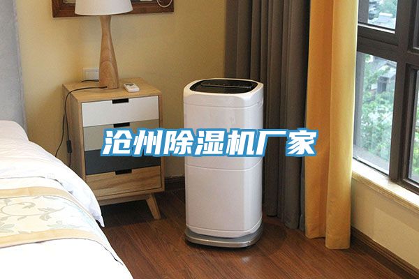 沧州猫咪成人官网厂家