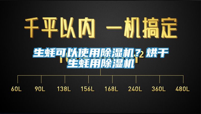 生蚝可以使用猫咪成人官网？烘干生蚝用猫咪成人官网