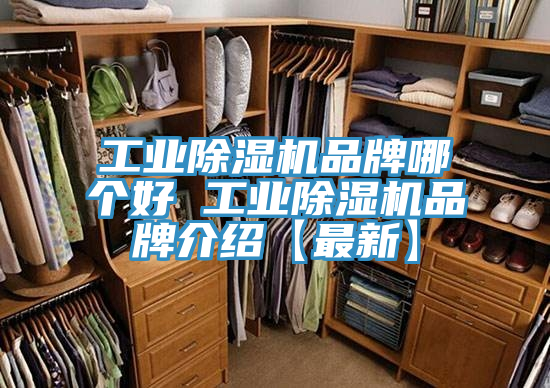 工业猫咪成人官网品牌哪个好 工业猫咪成人官网品牌介绍【最新】