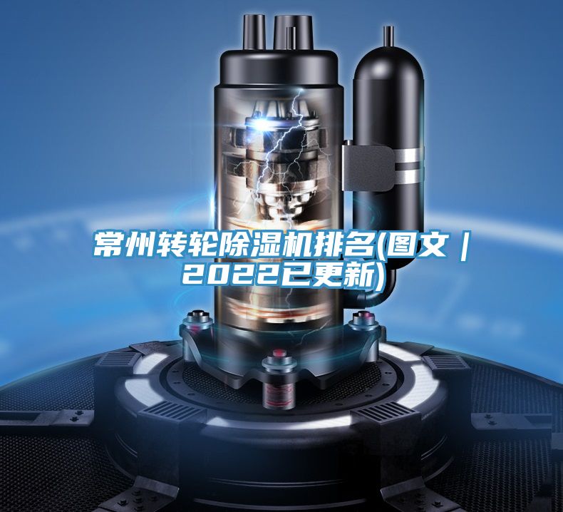 常州转轮猫咪成人官网排名(图文｜2022已更新)