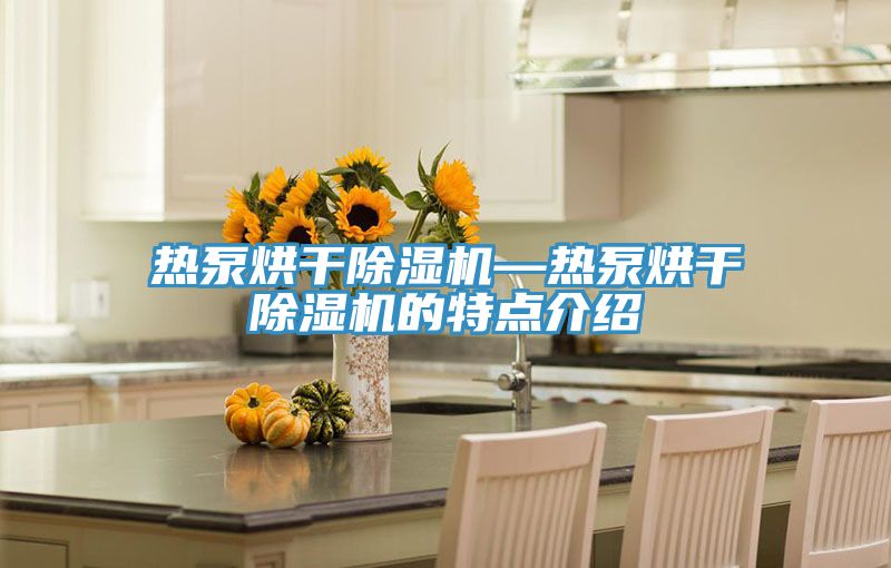 热泵烘干猫咪成人官网—热泵烘干猫咪成人官网的特点介绍