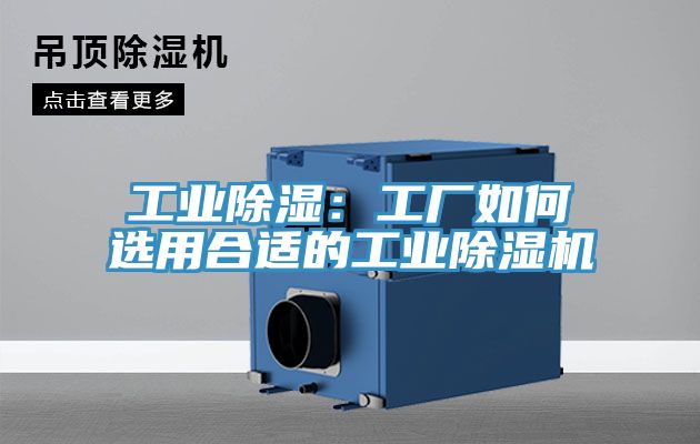 工业除湿：工厂如何选用合适的工业猫咪成人官网