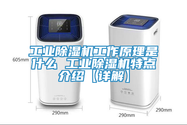 工业猫咪成人官网工作原理是什么 工业猫咪成人官网特点介绍【详解】