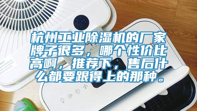 杭州工业猫咪成人官网的厂家牌子很多，哪个性价比高啊，推荐下，售后什么都要跟得上的那种。