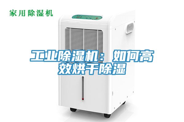 工业猫咪成人官网：如何高效烘干除湿