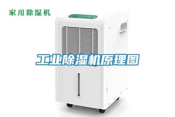 工业猫咪成人官网原理图