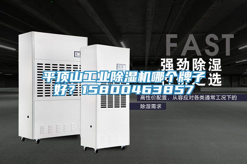 平顶山工业猫咪成人官网哪个牌子好？15800463857