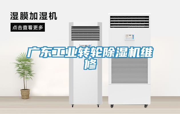 广东工业转轮猫咪成人官网维修