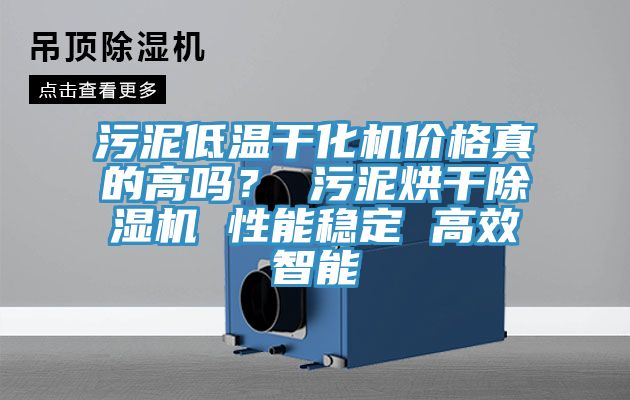 污泥低温干化机价格真的高吗？ 污泥烘干猫咪成人官网 性能稳定 高效智能
