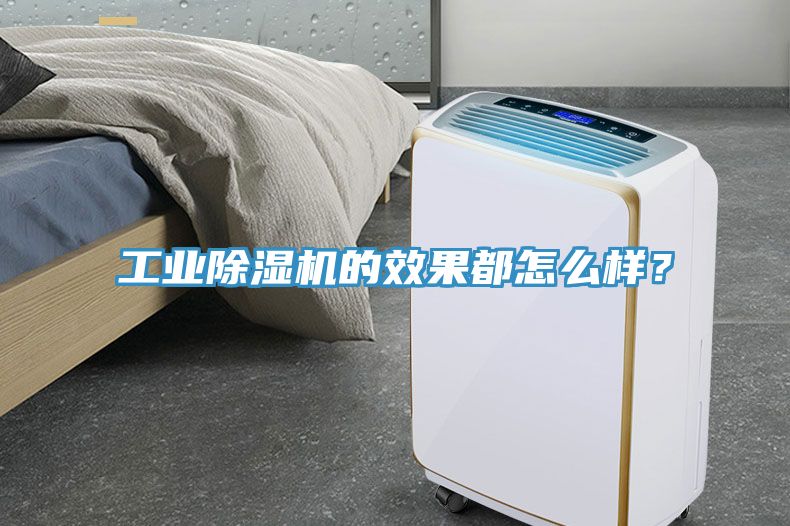 工业猫咪成人官网的效果都怎么样？