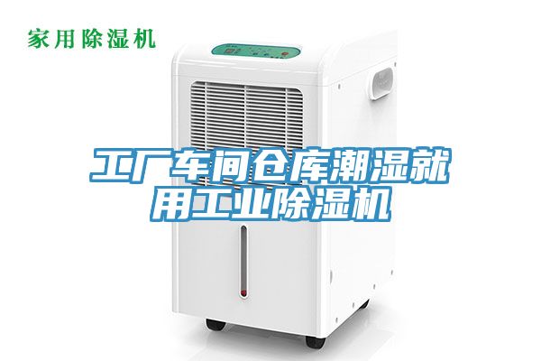 工厂车间仓库潮湿就用工业猫咪成人官网