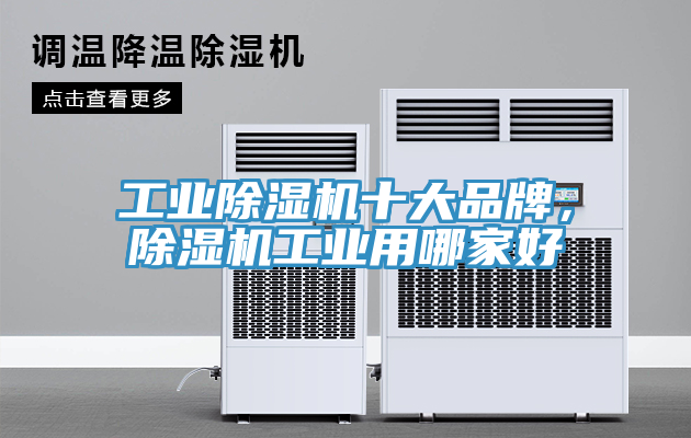 工业猫咪成人官网十大品牌，猫咪成人官网工业用哪家好