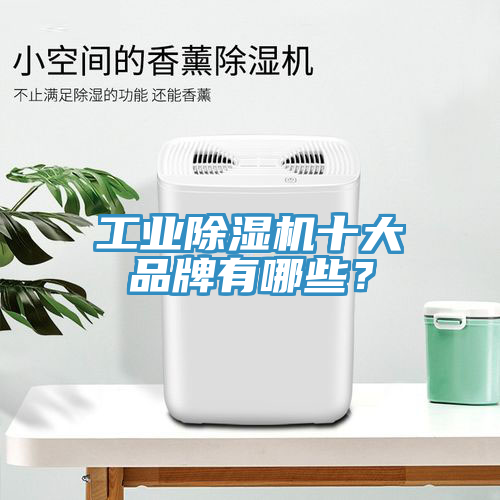 工业猫咪成人官网十大品牌有哪些？