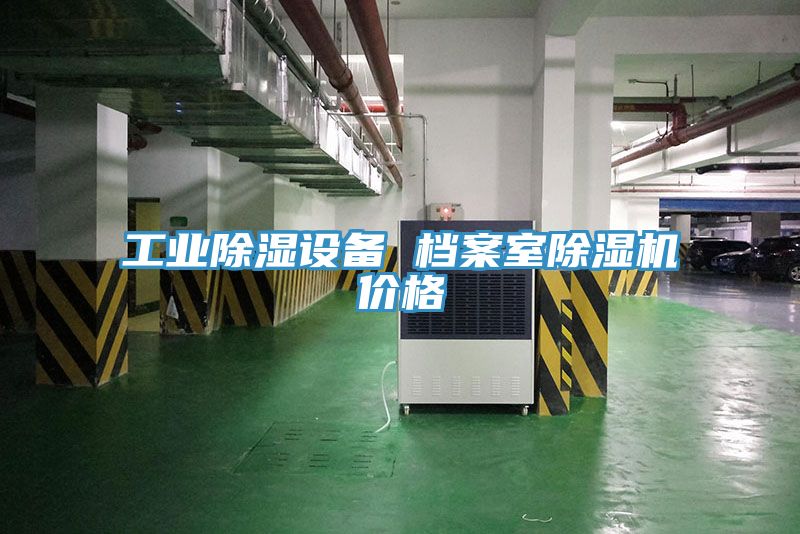 工业除湿设备 档案室猫咪成人官网价格