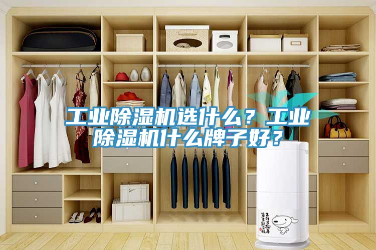 工业猫咪成人官网选什么？工业猫咪成人官网什么牌子好？