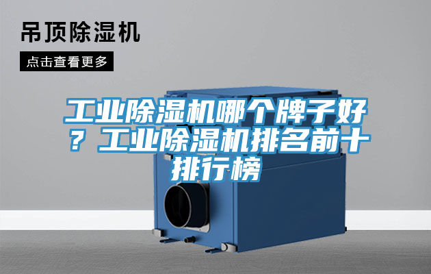 工业猫咪成人官网哪个牌子好？工业猫咪成人官网排名前十排行榜