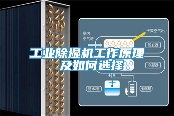 工业猫咪成人官网工作原理 及如何选择