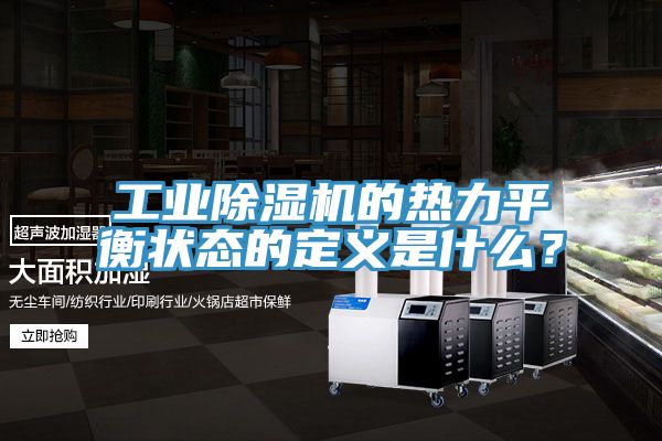 工业猫咪成人官网的热力平衡状态的定义是什么？