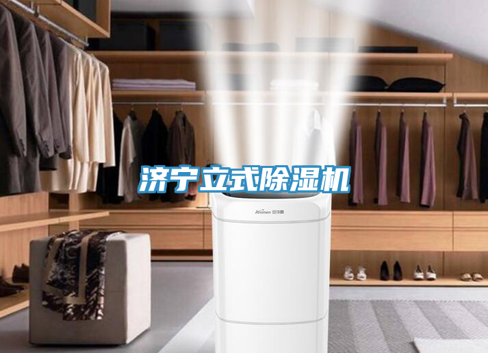 济宁立式猫咪成人官网