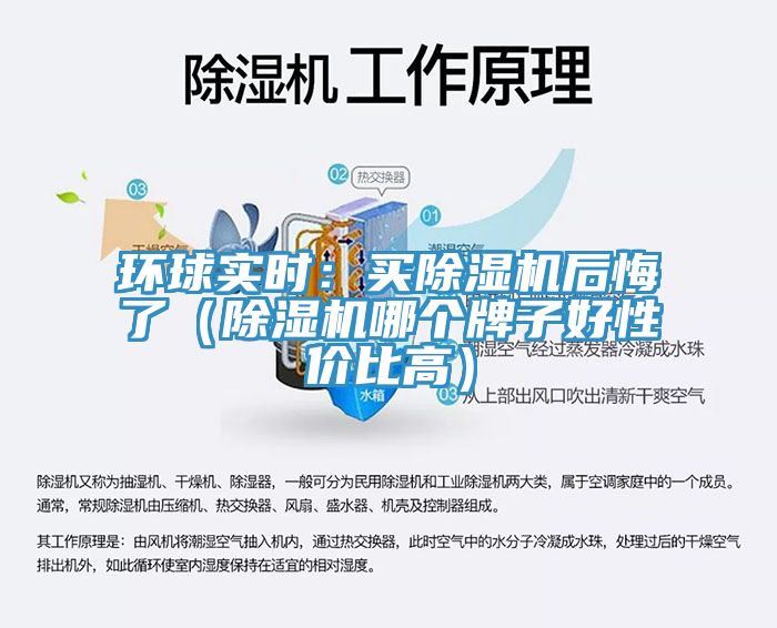 环球实时：买猫咪成人官网后悔了（猫咪成人官网哪个牌子好性价比高）