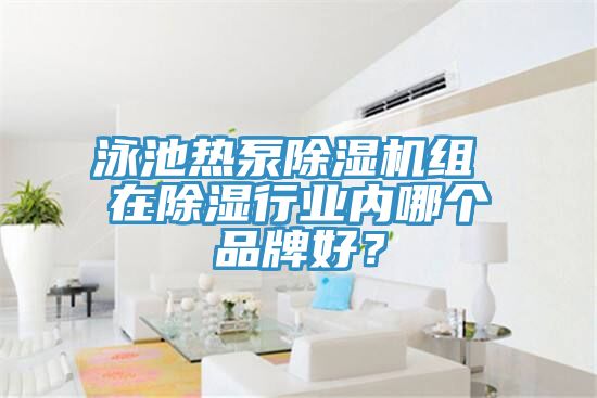 泳池热泵猫咪成人官网组 在除湿行业内哪个品牌好？