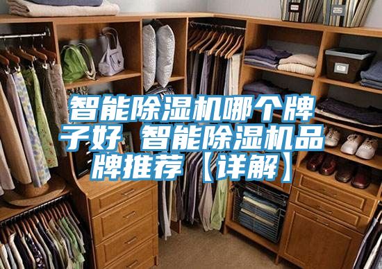 智能猫咪成人官网哪个牌子好 智能猫咪成人官网品牌推荐【详解】