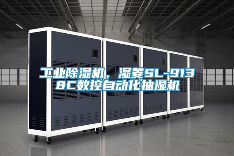 工业猫咪成人官网，湿菱SL-9138C数控自动化抽湿机