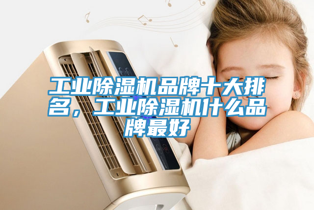 工业猫咪成人官网品牌十大排名，工业猫咪成人官网什么品牌最好