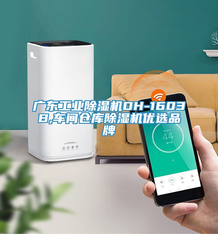 广东工业猫咪成人官网DH-1603B,车间仓库猫咪成人官网优选品牌