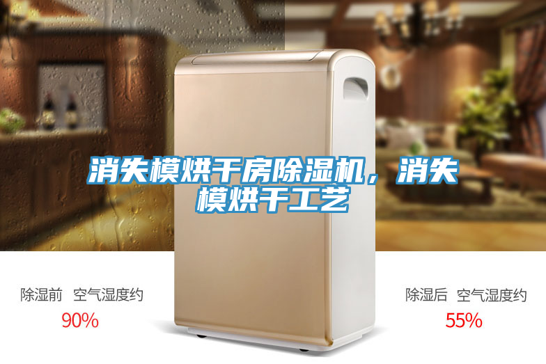 消失模烘干房猫咪成人官网，消失模烘干工艺