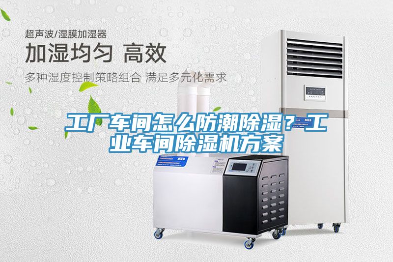 工厂车间怎么防潮除湿？工业车间猫咪成人官网方案