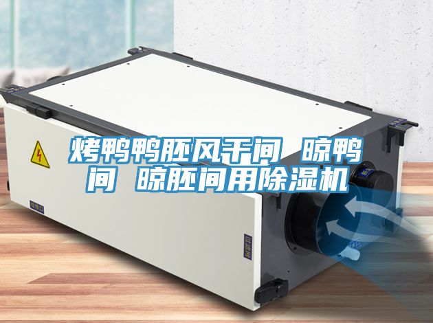 烤鸭鸭胚风干间 晾鸭间 晾胚间用猫咪成人官网