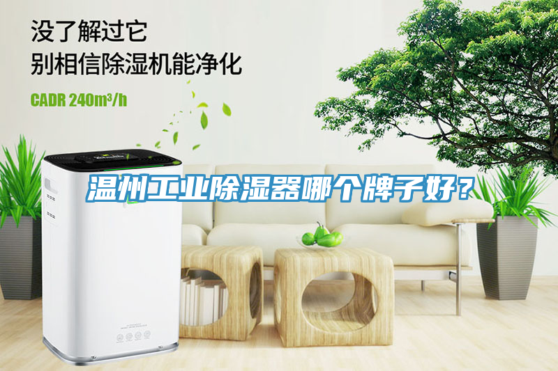 温州工业除湿器哪个牌子好？