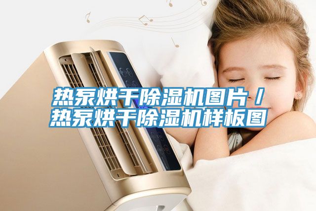 热泵烘干猫咪成人官网图片／热泵烘干猫咪成人官网样板图