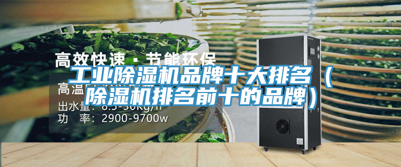 工业猫咪成人官网品牌十大排名（猫咪成人官网排名前十的品牌）