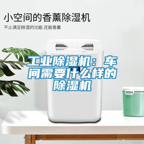 工业猫咪成人官网：车间需要什么样的猫咪成人官网
