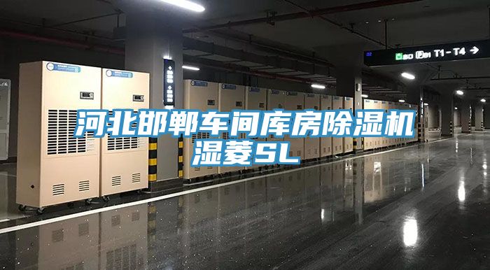 河北邯郸车间库房猫咪成人官网湿菱SL