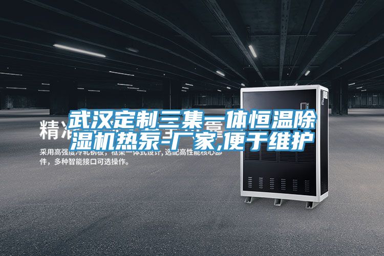 武汉定制三集一体恒温猫咪成人官网热泵-厂家,便于维护
