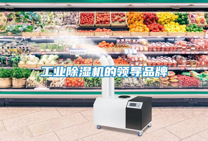 工业猫咪成人官网的领导品牌