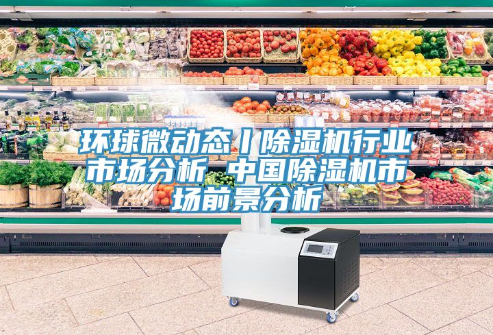 环球微动态丨猫咪成人官网行业市场分析 中国猫咪成人官网市场前景分析