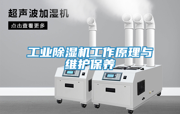 工业猫咪成人官网工作原理与维护保养