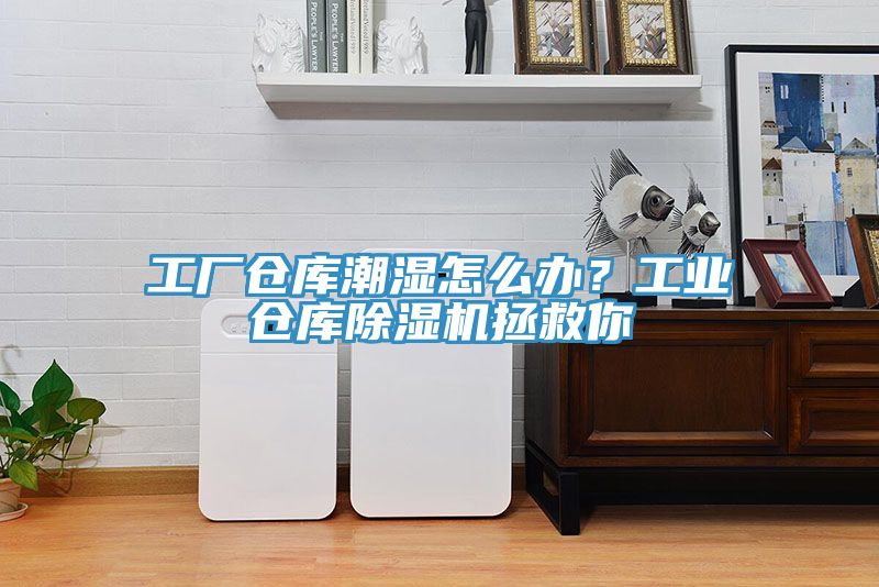 工厂仓库潮湿怎么办？工业仓库猫咪成人官网拯救你