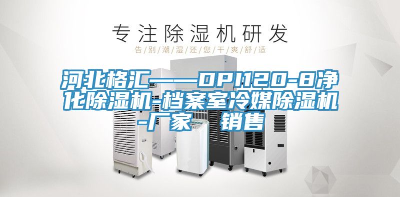 河北格汇——DPI120-8净化猫咪成人官网-档案室冷媒猫咪成人官网-厂家  销售